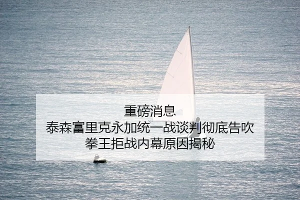 重磅消息 泰森富里克永加统一战谈判彻底告吹 拳王拒战内幕原因揭秘